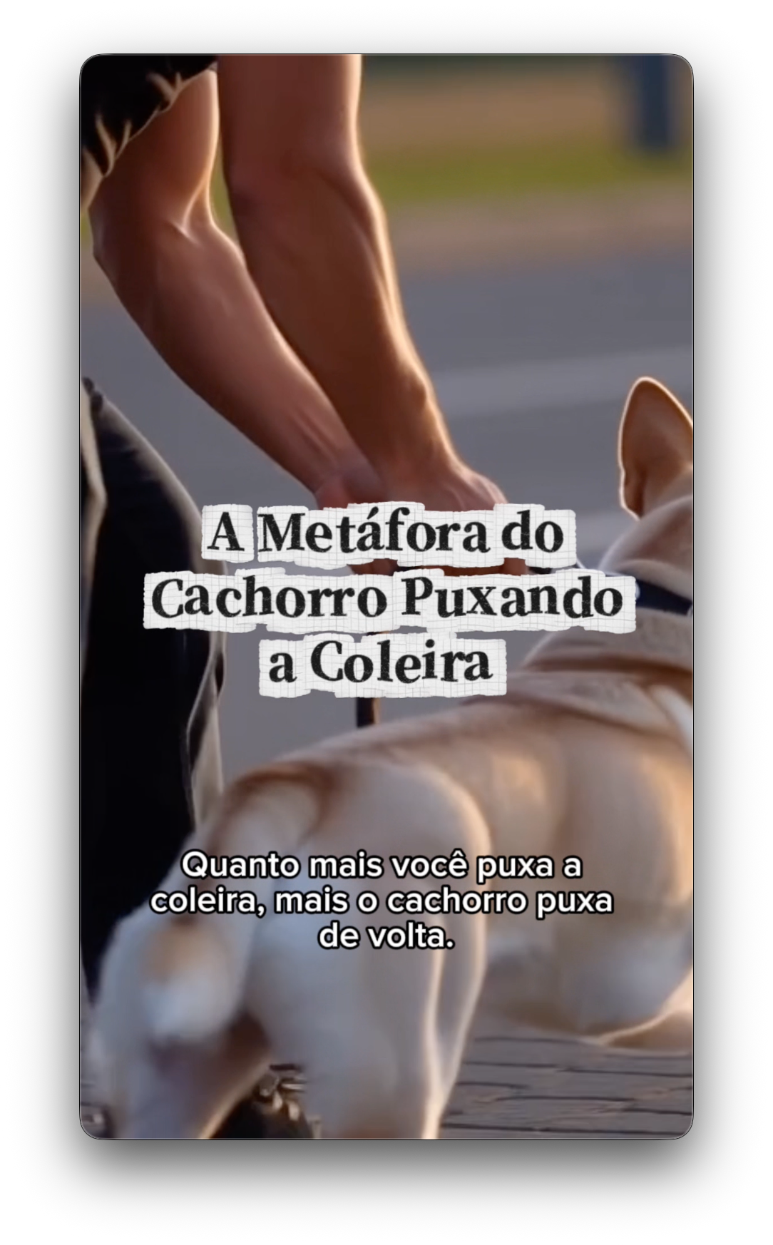 Metáfora em vídeo
